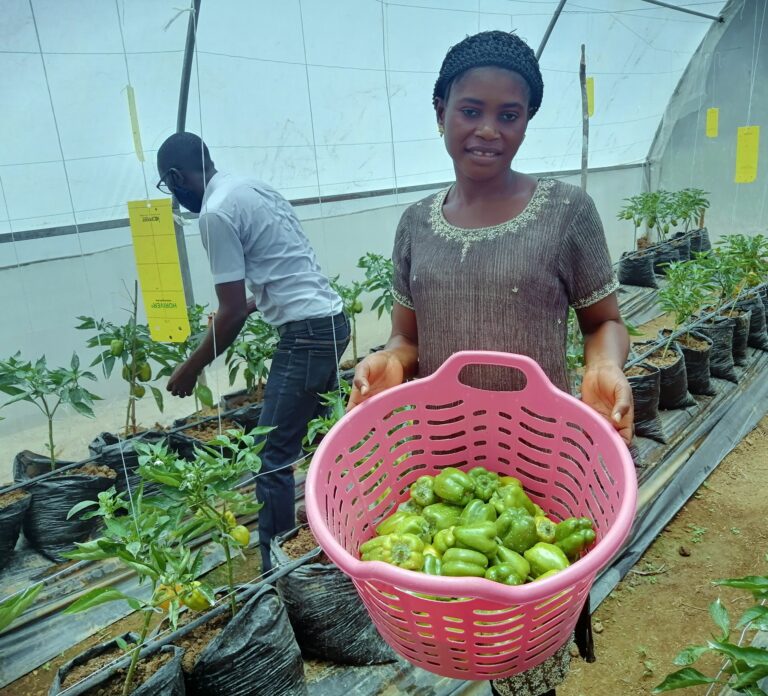 Farmer iPro