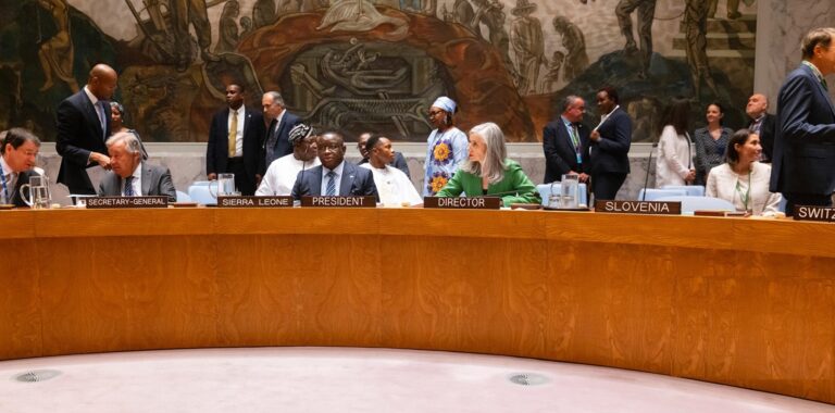 President Bio Calls for Urgent United Nations Security Council Reform (11)