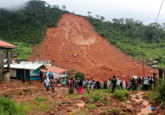 Environmental Damage