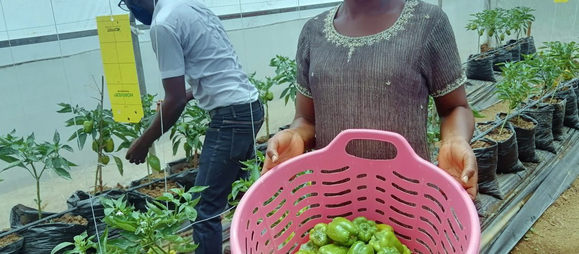 Farmer iPro