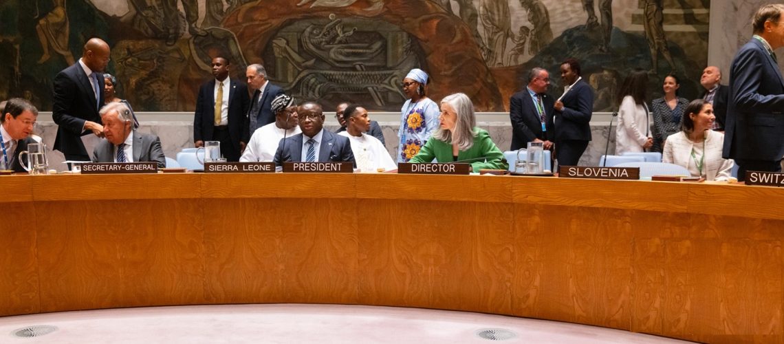 President Bio Calls for Urgent United Nations Security Council Reform (11)